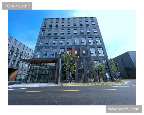 DB真人旗舰·集团未来发展规划：持续创新引领行业新潮流